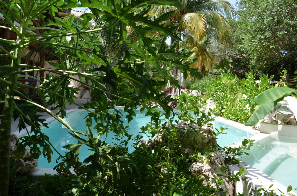 Casa Iguana Holbox - Beachfront Hotel Exterior photo