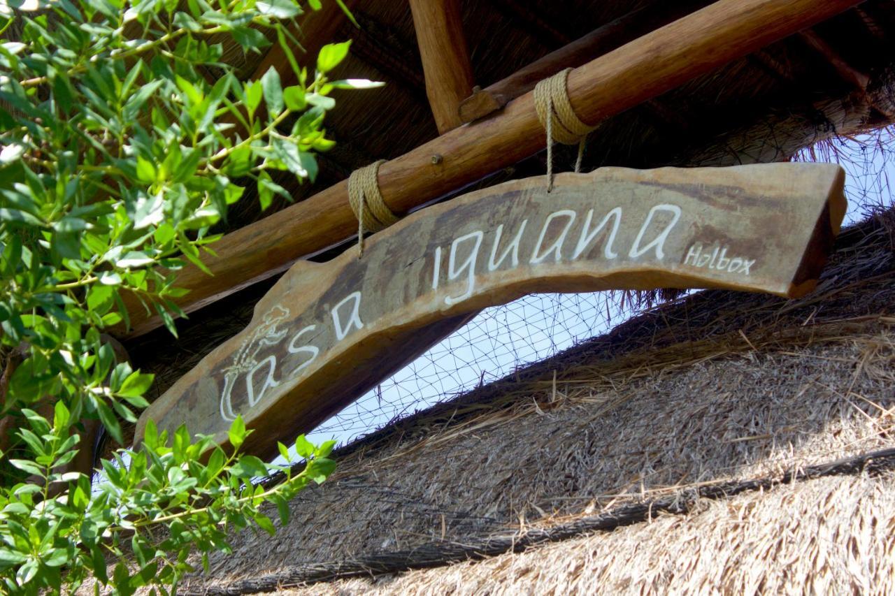 Casa Iguana Holbox - Beachfront Hotel Exterior photo